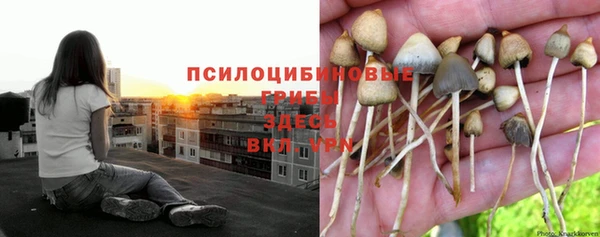 прущая мука Кинешма