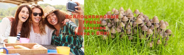 МДПВ Киренск
