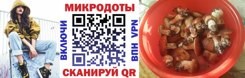 Псилоцибиновые грибы мицелий  Купить где  Балабаново 